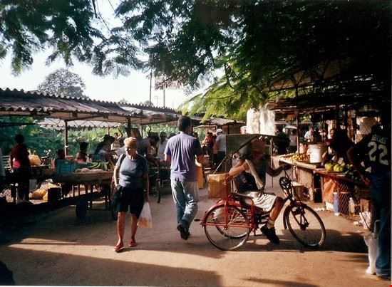 Camaguey  