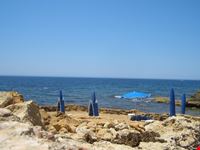 Mare