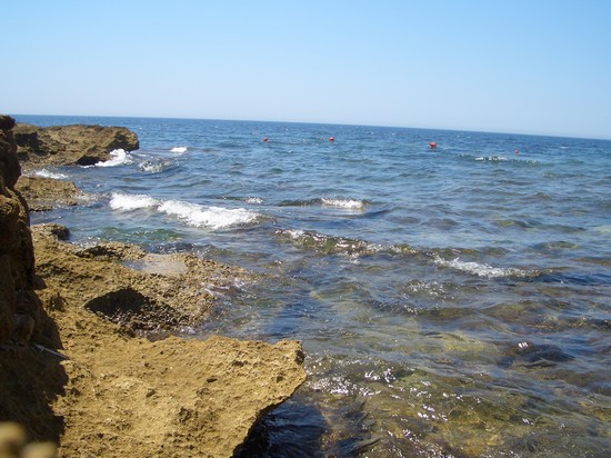 Mare