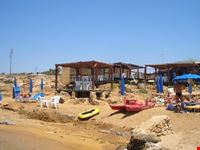 Mare