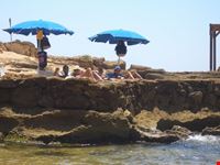 Mare