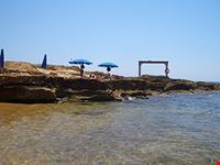 Mare
