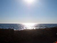 Mare