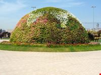un panettone di fiori