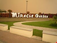 Miracle Garden