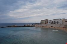 Gallipoli