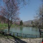 Lago dei pini