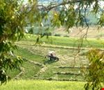 Manciano ristoranti Manciano ristoranti