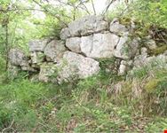 Mura poligonali
