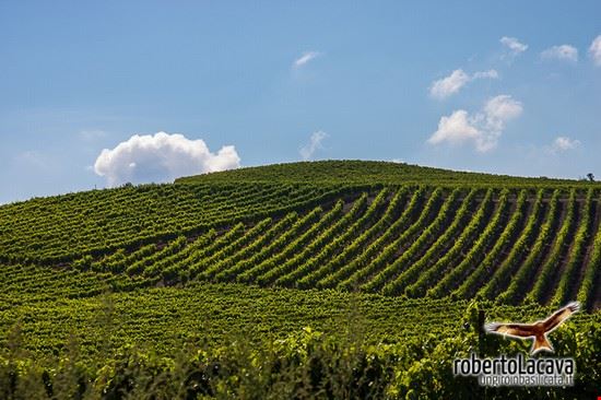  Poco prima del paese  