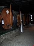 Cantine di Porto
