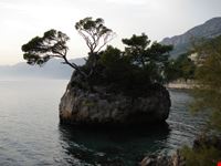 brela makarska rivijera split