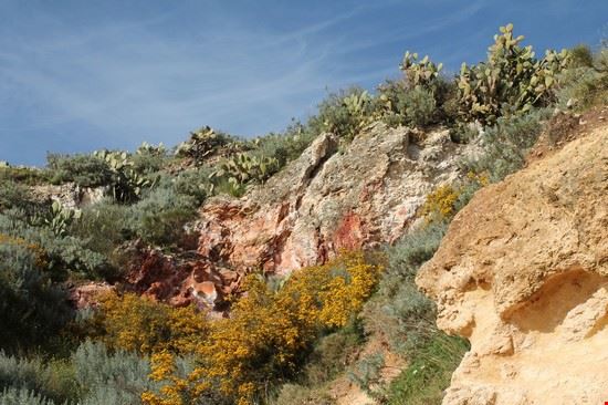  Stratificazioni minerarie del suolo e macchia mediterranea sul sentiero verso Cala Fico, località Timpone  