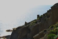 Pollara
