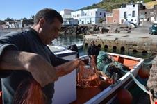 Pescatori al porto
