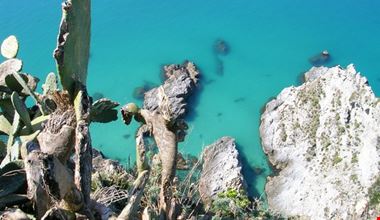 capo vaticano ricadi capo vaticano ricadi