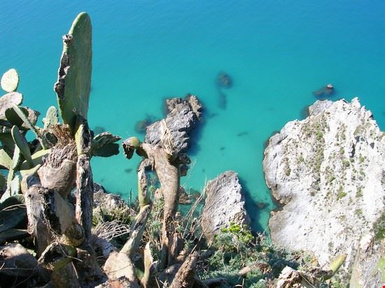  Veduta di Capo Vaticano  