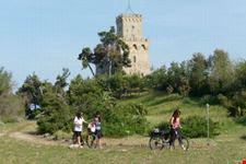 Torre Cerrano