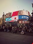 Piccadilly circus