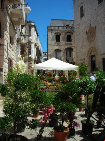  "Borgo in fiore 2013"  