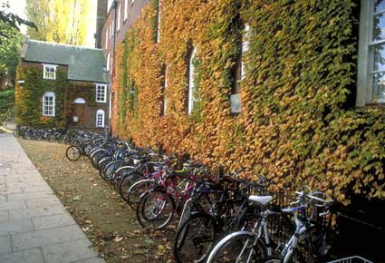 Biciclette