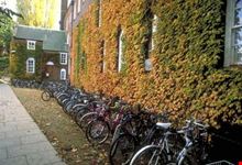 Biciclette