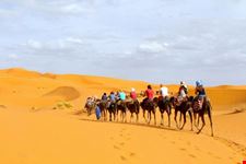 marrakech camel trekking in morocco