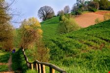Una passeggiata al Parco Ferrari