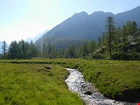 gran paradiso