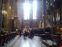 concerto di ferragosto a stephansdom vienna