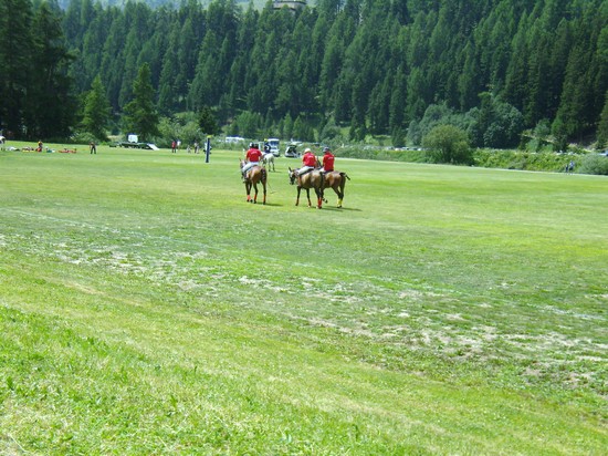 POLO SULL'ERBA