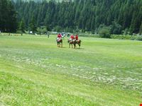POLO SULL'ERBA