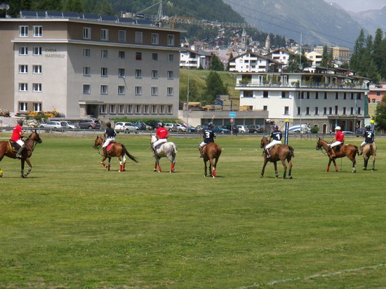 POLO SULL'ERBA