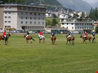POLO SULL'ERBA