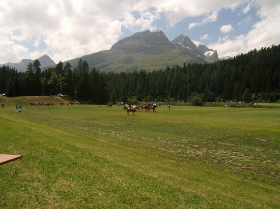POLO SULL'ERBA