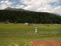 POLO SULL'ERBA