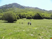 parco del pollino