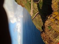 scorcio costa