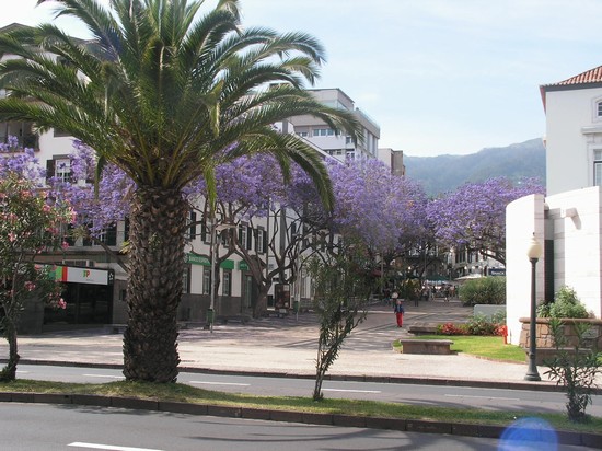 funchal