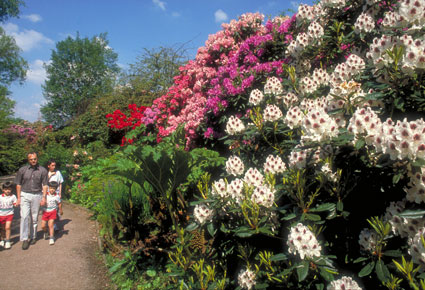 birmingham giardino botanico
