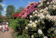 birmingham giardino botanico