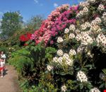 birmingham giardino botanico birmingham giardino botanico