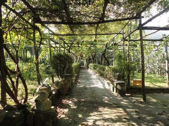 Pergolato