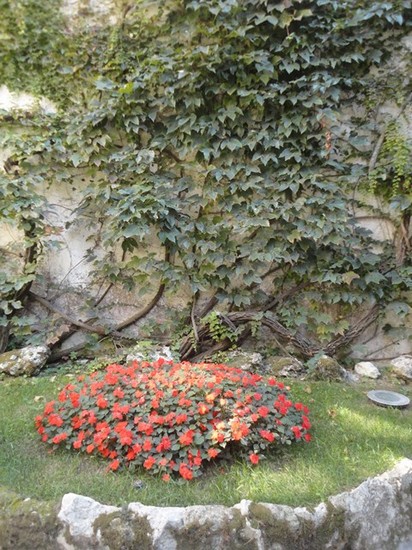 Decorazione floreale