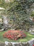 Decorazione floreale
