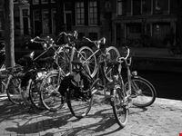 Una vita in bicicletta