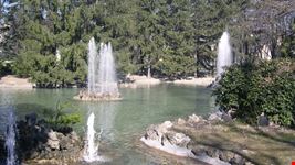 Il Laghetto dei Cigni