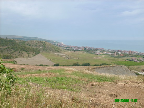 Festa della Madonna di Vergadoro