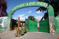 Monkey Park