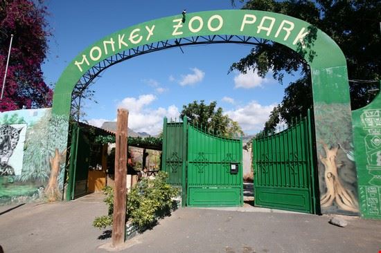 Monkey Park - Monkey Park, Tenerife - ©seeareele - ©seeareele - CC BY-SA 2.0